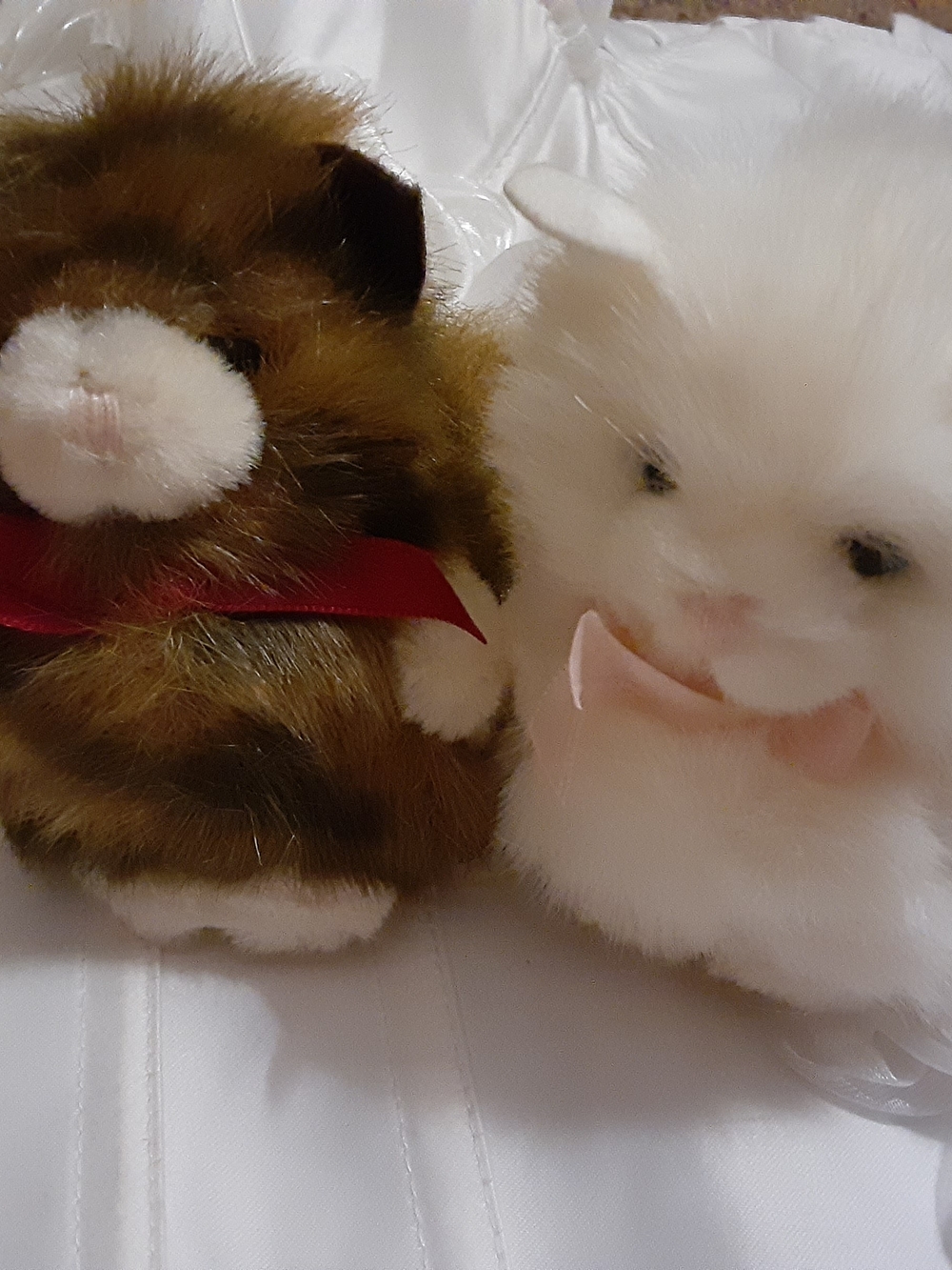 Itty Bitty Cats Stuffed Animals